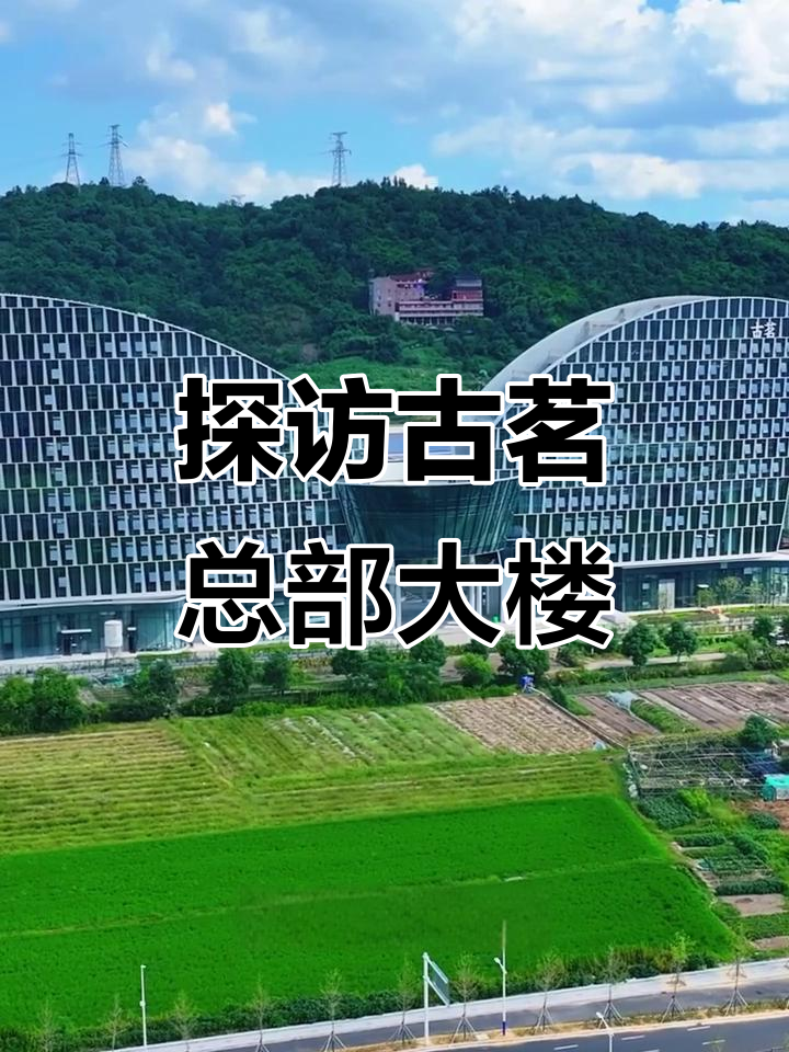 古茗奶茶总部揭秘:从1家到超万家,十亿投资打造行业黑马