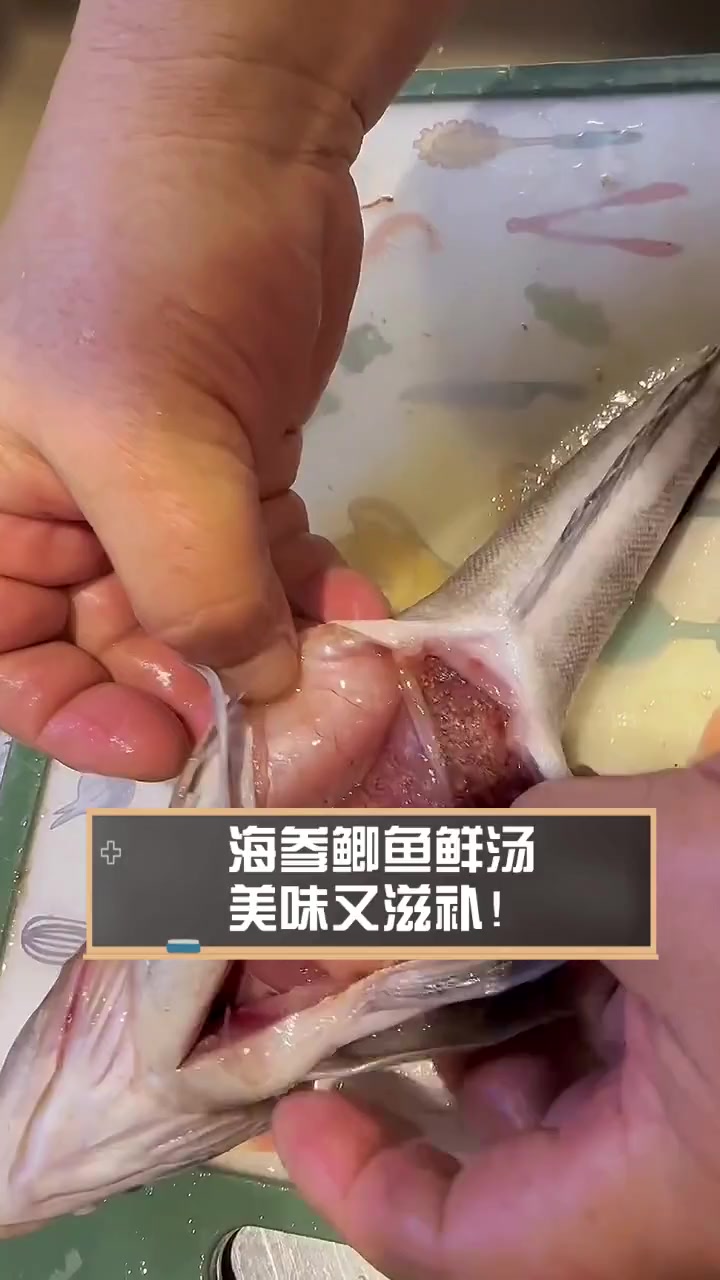 海参鲫鱼鲜汤,美味又滋补!