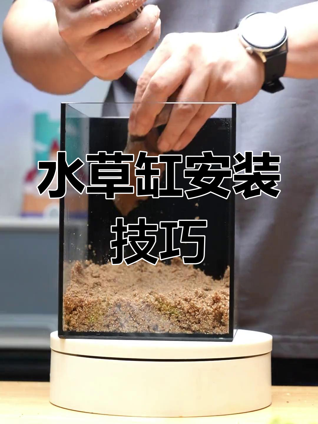 鱼缸造景全攻略,简单步骤教你轻松打造完美水草环境