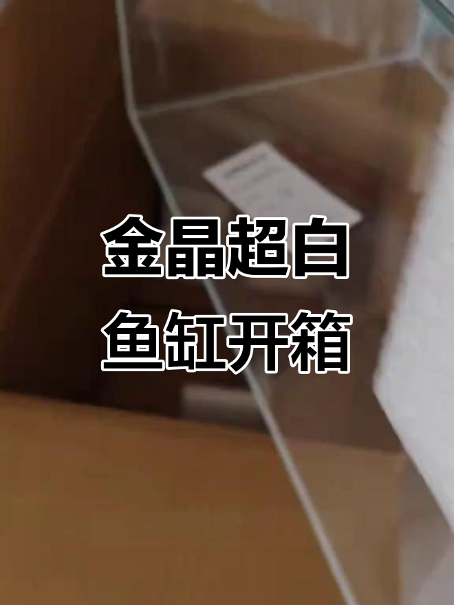 星畅金晶超白鱼缸开箱,孔雀鱼苗新家准备好了