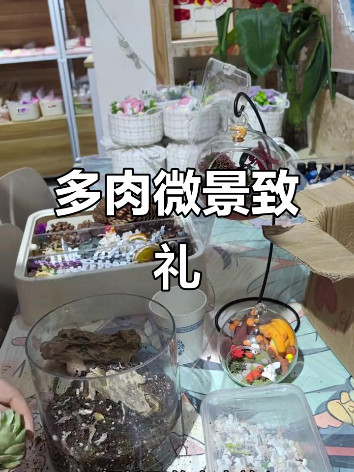 送礼新选择,亲手打造多肉微景观,心意满满!