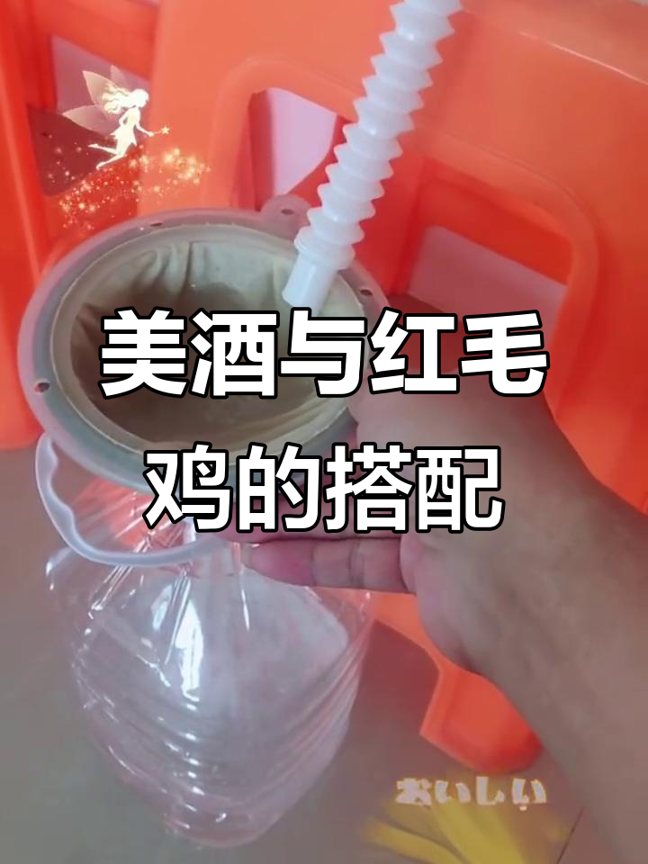 红毛鸡配美酒,享受独特风味