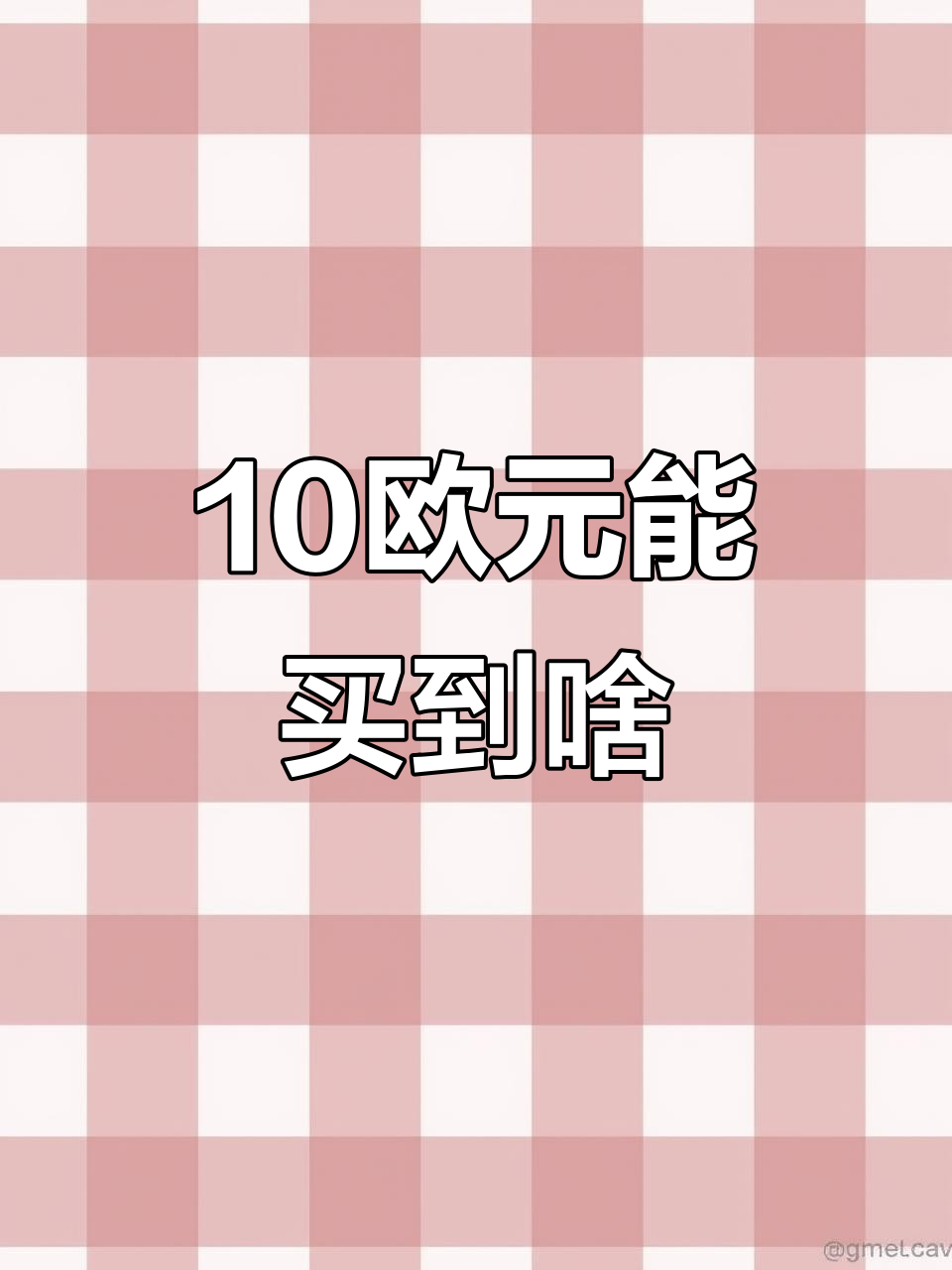10欧元在比利时超市能买什么?看看这些物价!