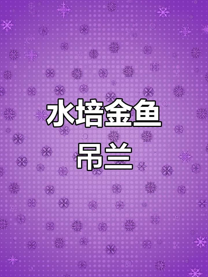 金鱼吊兰水培技巧,轻松繁殖多盆