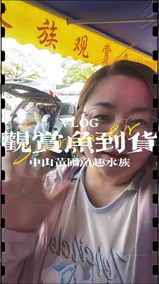 2025年的第一批观赏鱼到店啦,冷水锦鲤和热带鱼都是畅销之星~ 