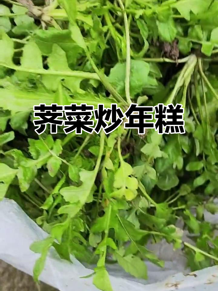 挖荠菜炒年糕,快乐又美味!