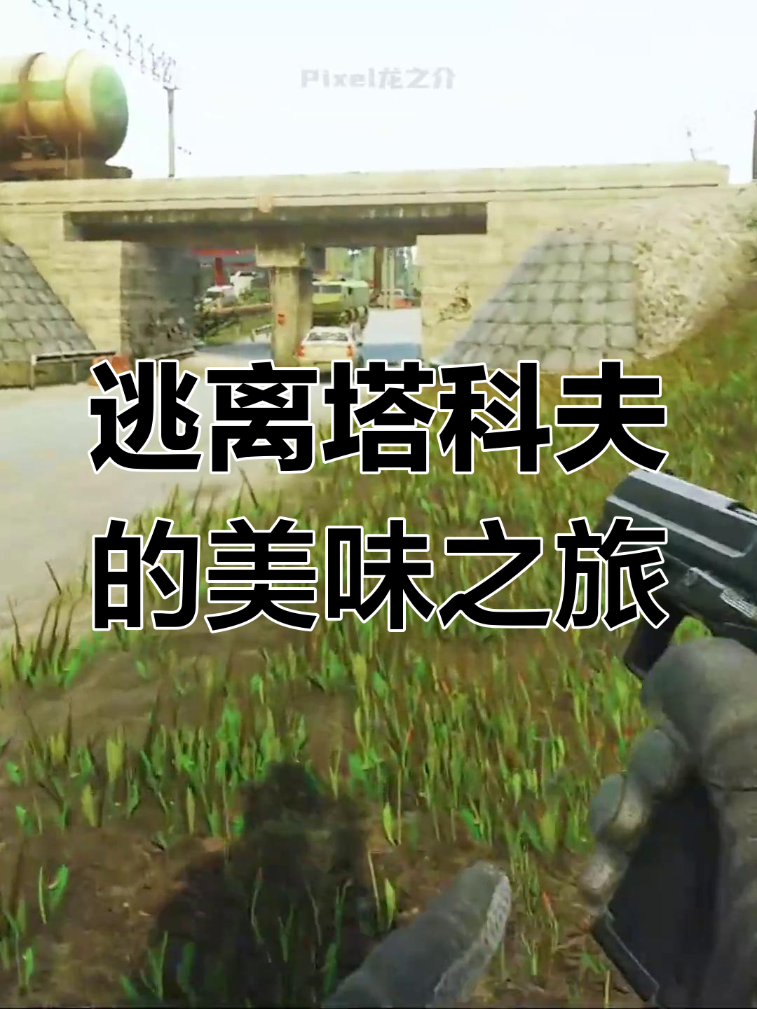 塔科夫美食大揭秘:水煮鱼、伏特加与辣条的奇妙组合