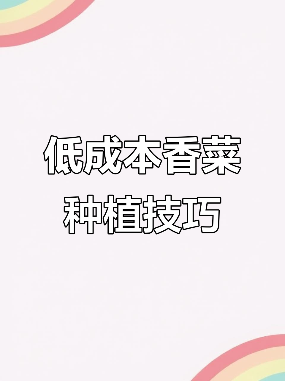 创意香菜种植法,低成本高回报,家庭阳台轻松搞定!