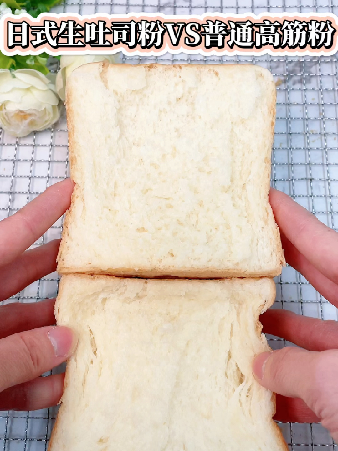 做日式生吐司,高筋粉和日式吐司粉啥区别