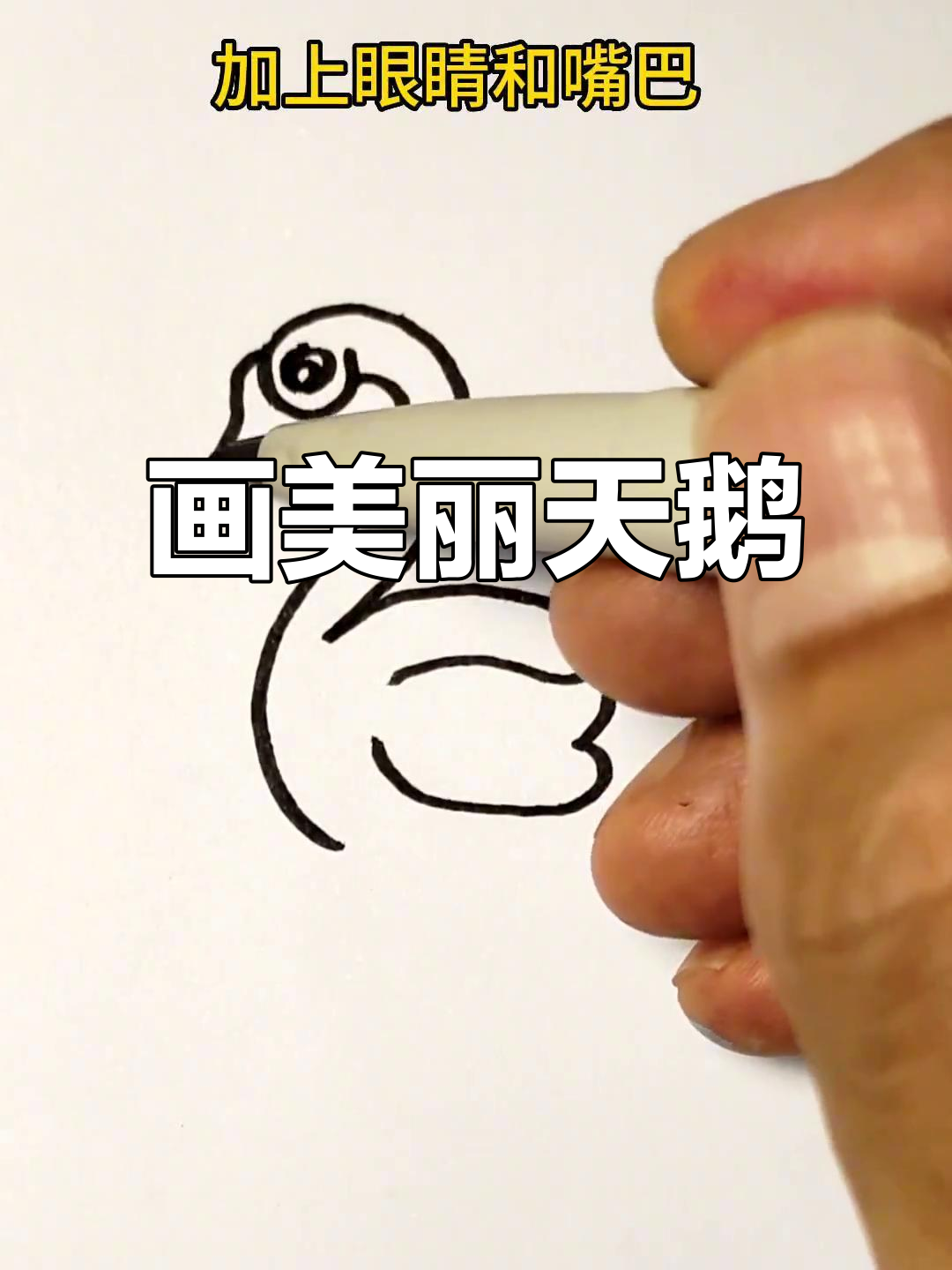 用233轻松画出可爱白天鹅,步骤简单又有趣