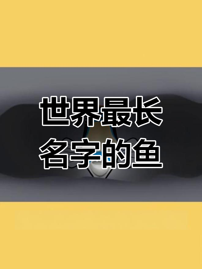 夏威夷的“猪鼻子”银鲸鱼,名字超长又有趣