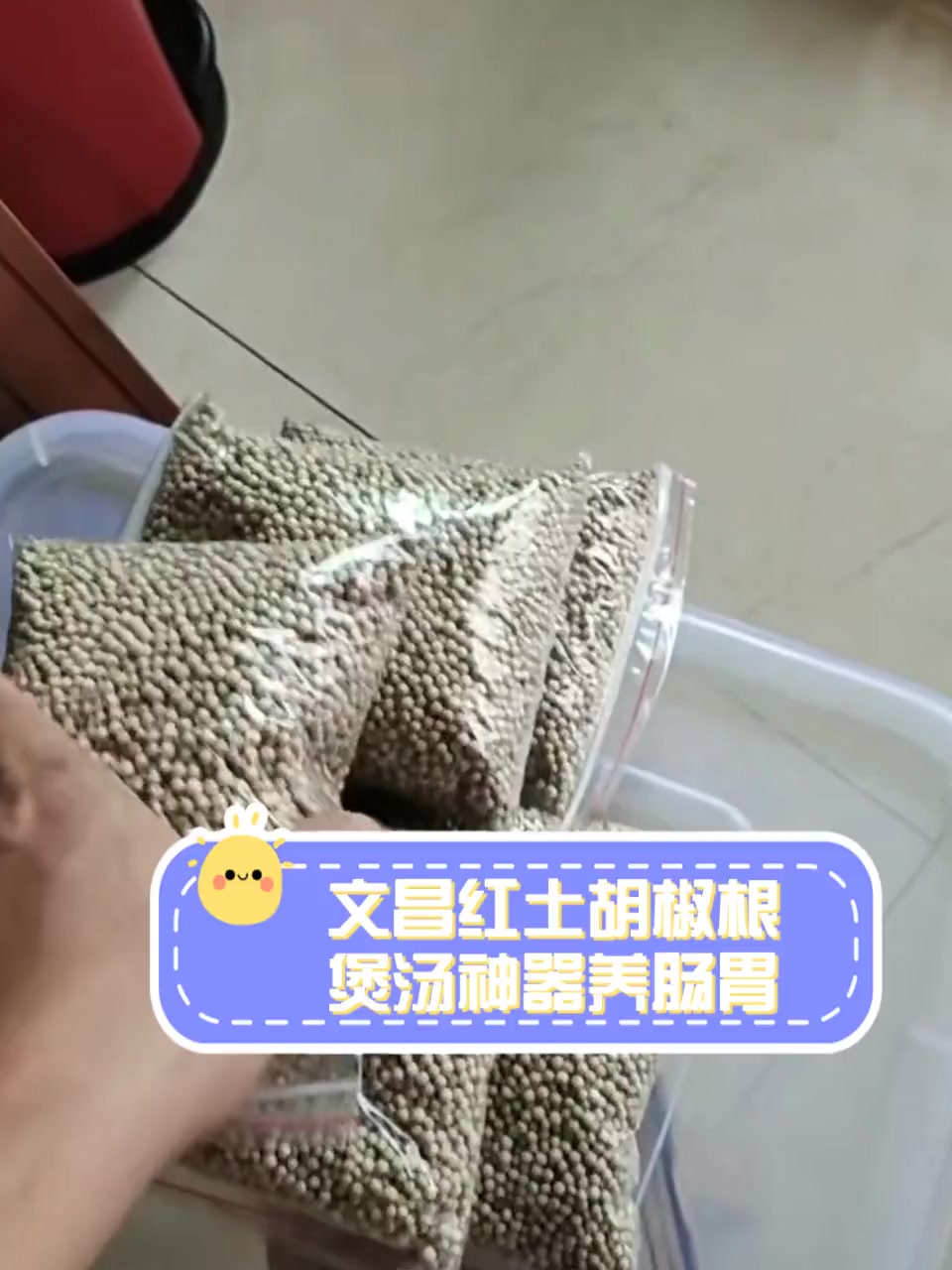文昌红土胡椒根,煲汤神器养肠胃