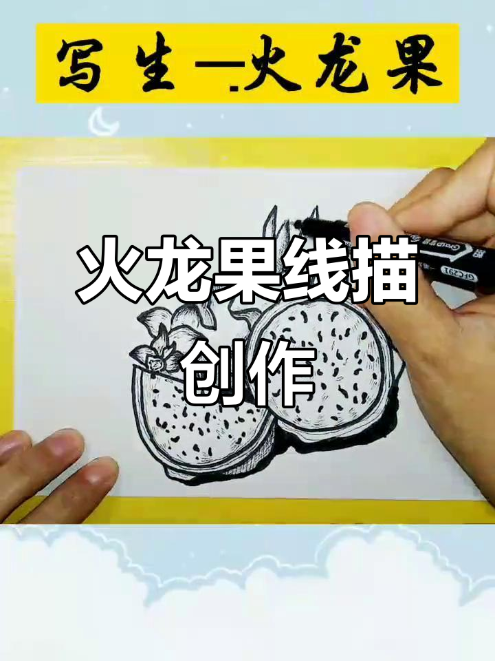 火龙果写生:创意线描画,感受清新水果风味