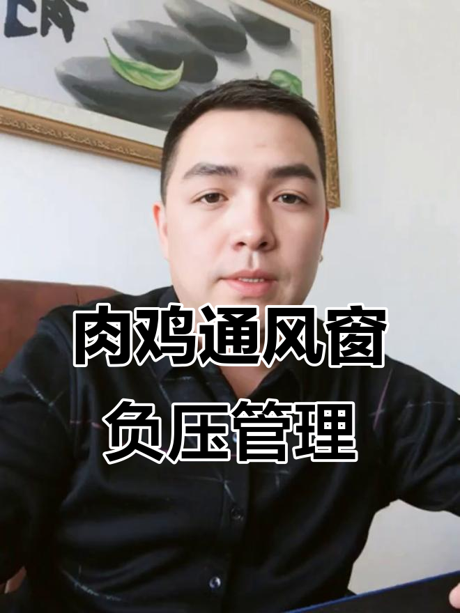 笼养肉鸡通风窗负压调节技巧,烟雾控制全解析