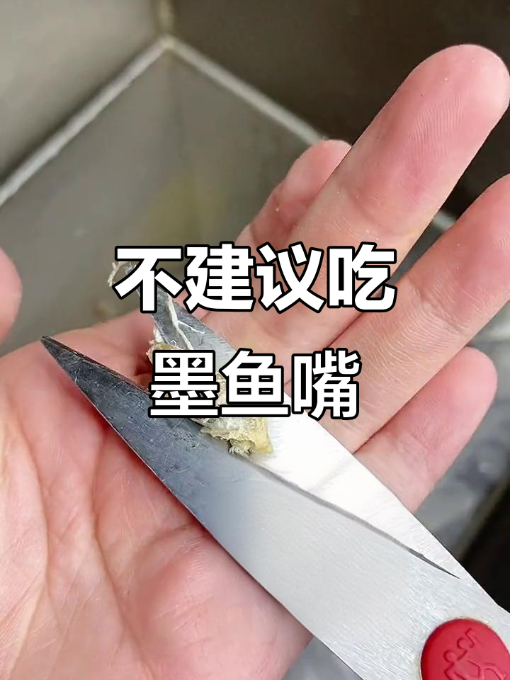 墨鱼嘴为何不宜食用?揭秘原因和结构
