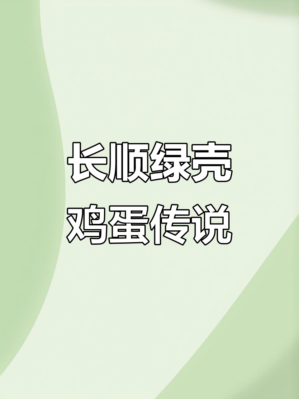 雷姓父子与绿壳鸡蛋的传奇故事