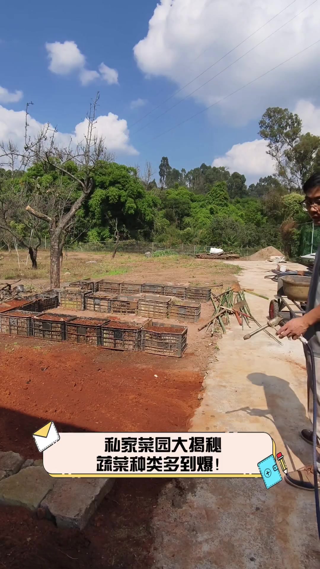 私家菜园大揭秘,蔬菜种类多到爆!