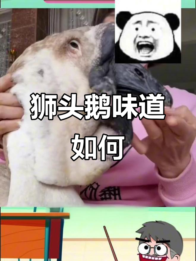 潮汕狮头鹅:1200块吃一个“狮子头”,值不值?