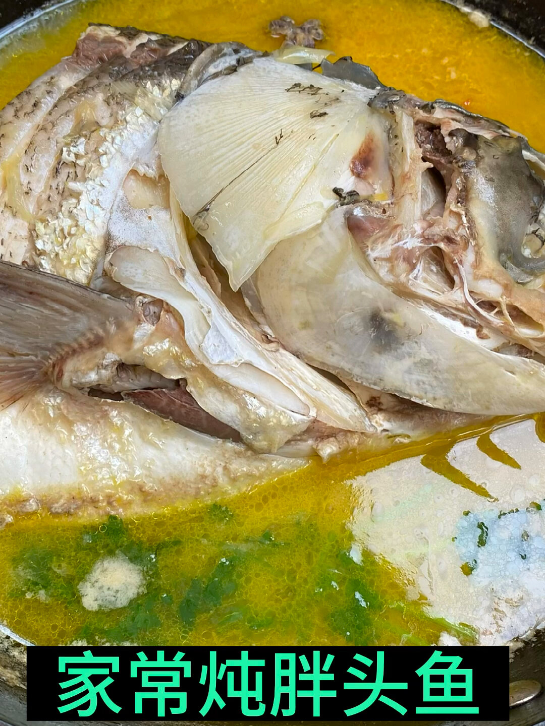 胖头鱼