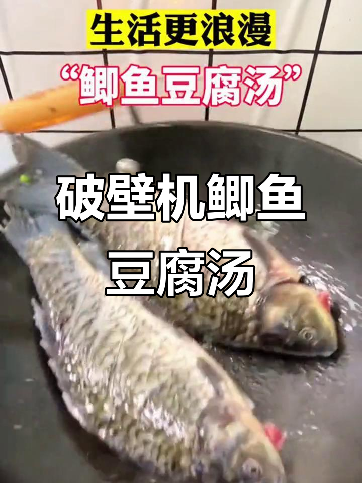 用破壁机做鲫鱼豆腐汤,简单又美味