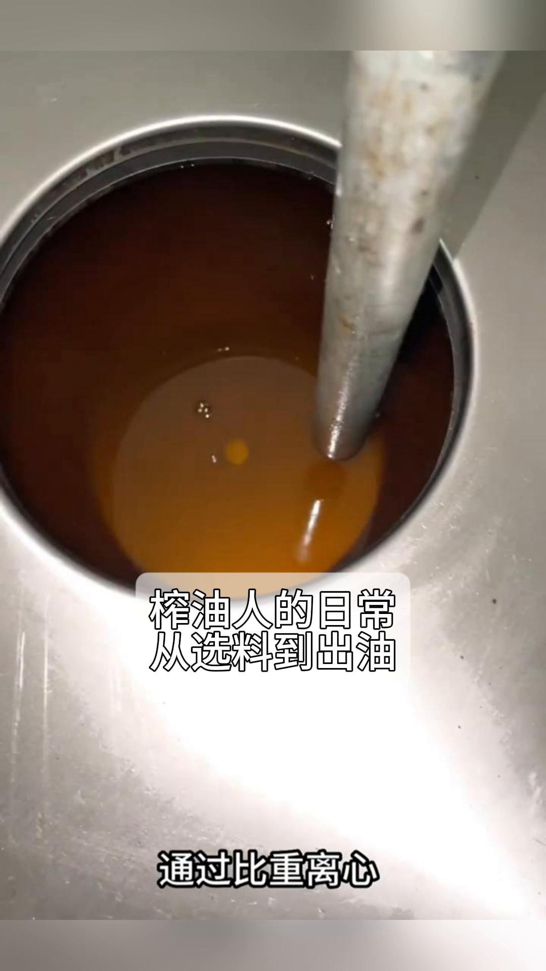 榨油人的日常,从选料到出油