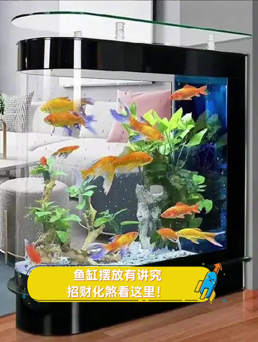 鱼缸摆放有讲究,招财化煞看这里!