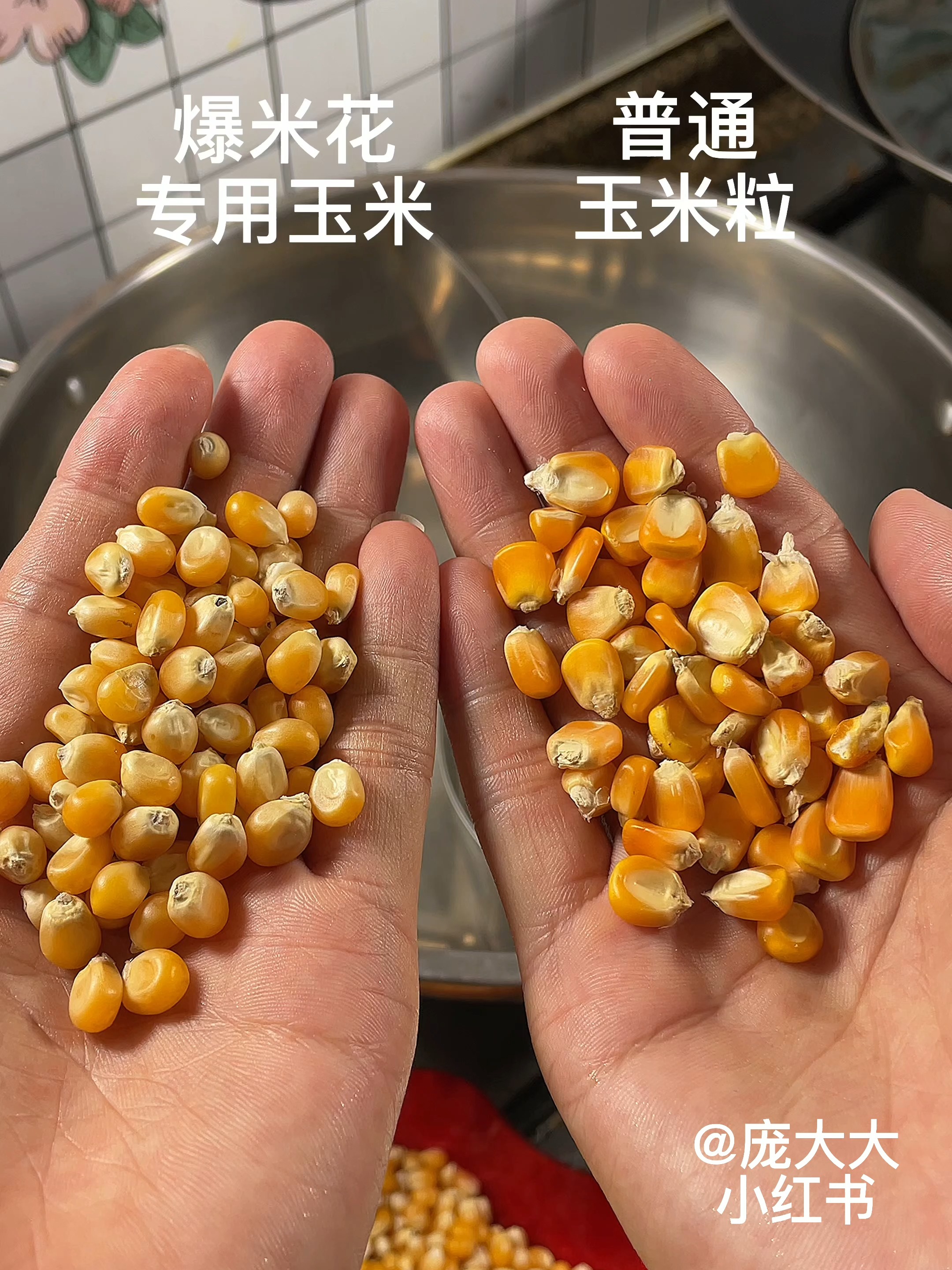 不要再问普通玉米能不能做爆米花了,答案?