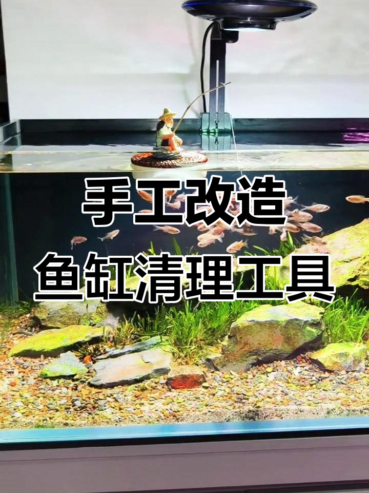自制洗沙器让鱼缸焕然一新,悬浮式钓鱼老头乐趣多