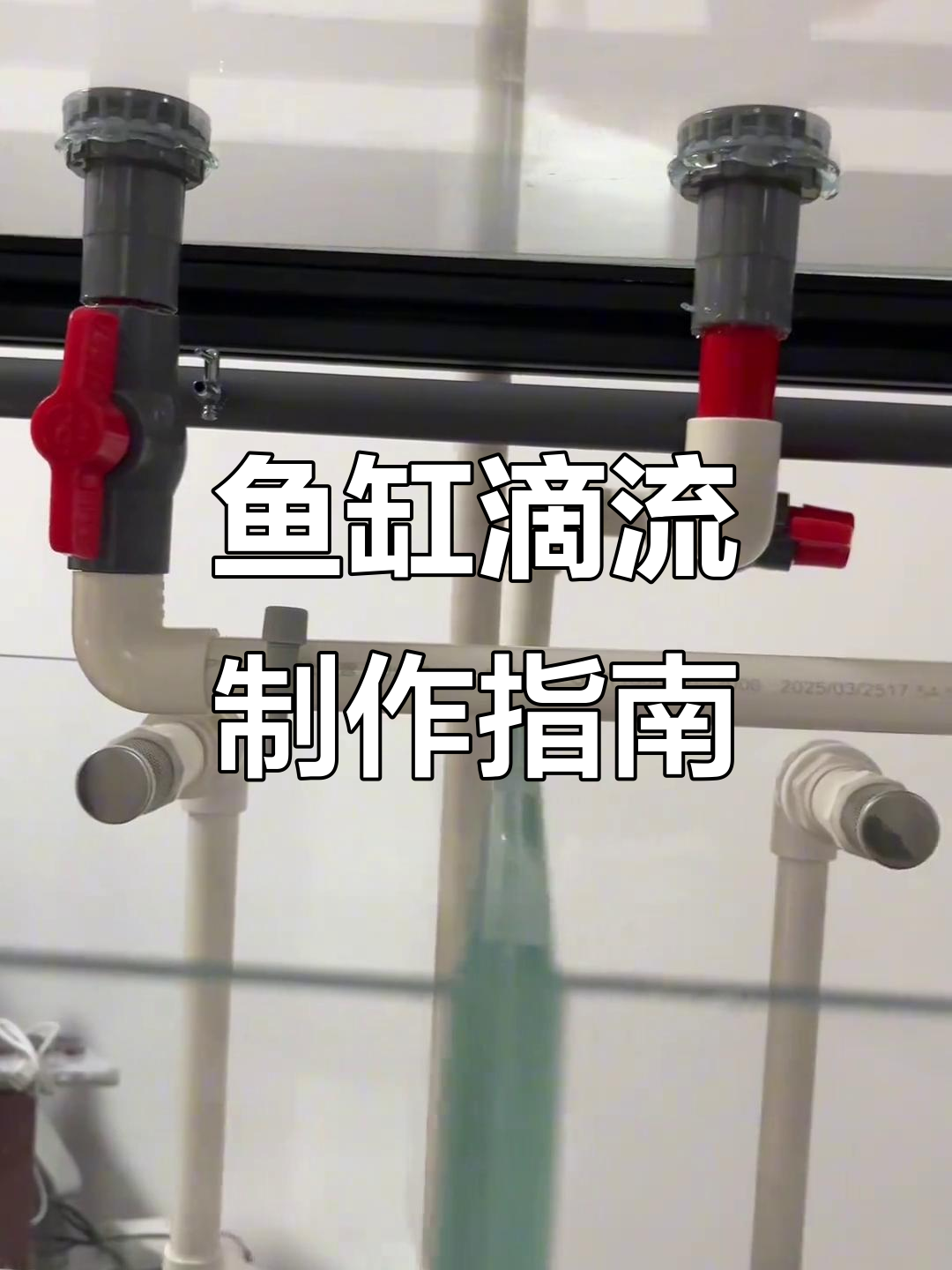 从零开始打造鱼缸滴流系统，材料清单与注意事项全解析