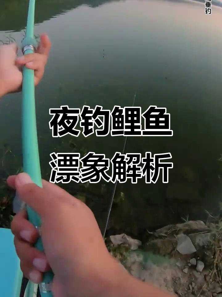 夜钓鲤鱼漂相揭秘,如何判断大鱼的呼吸与吃口