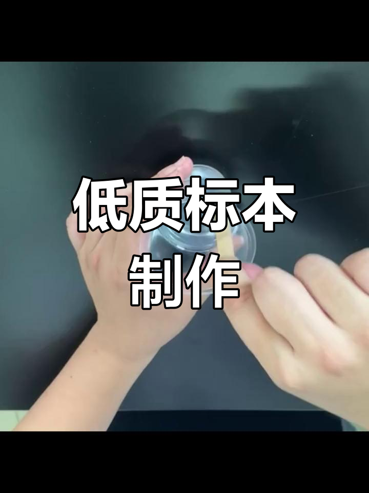 药用植物滴胶标本制作流程