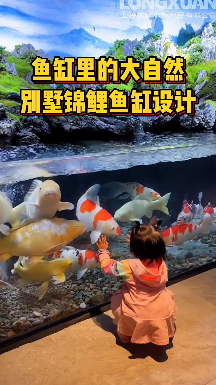 别墅锦鲤鱼缸设计 把大自然搬到自己家中是一种什么样的体验?