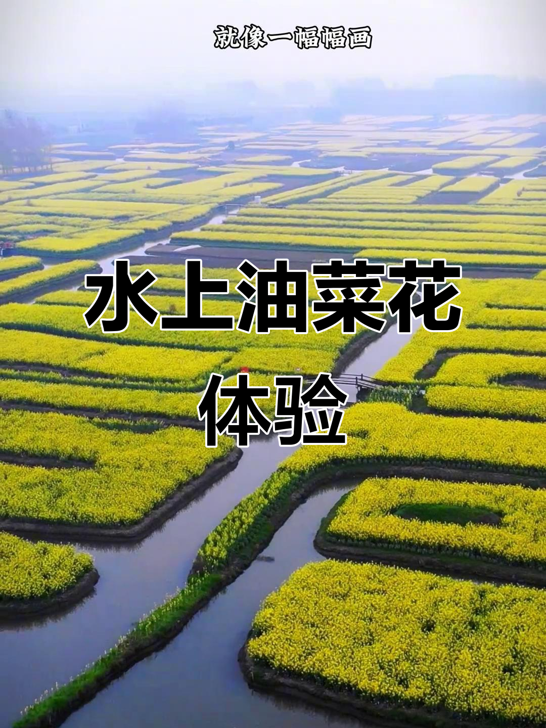 泰州兴化千垛油菜花海,水上森林与沉船赏花的完美结合