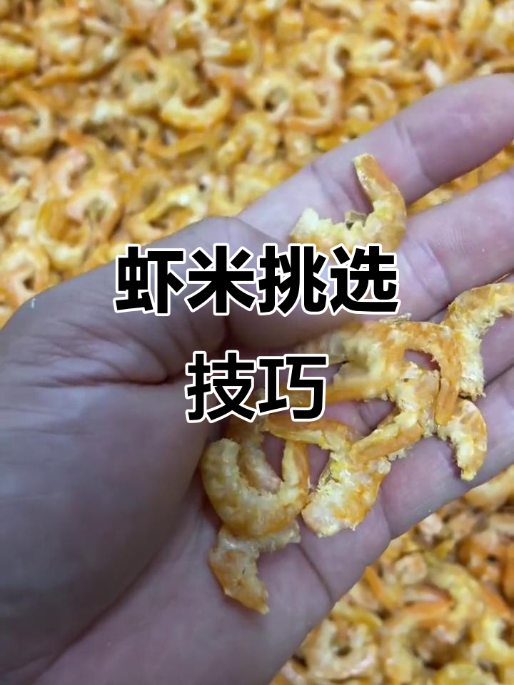 教你轻松辨别虾米优劣,看完视频全明白!