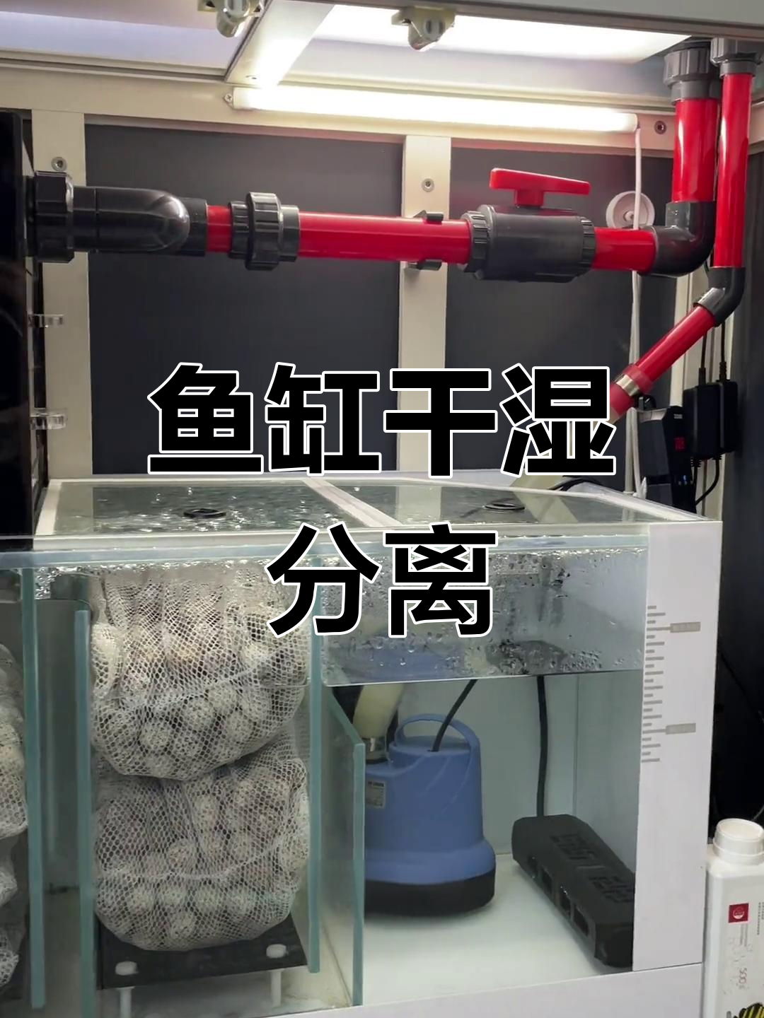 鱼缸过滤系统解析:干湿分离设计
