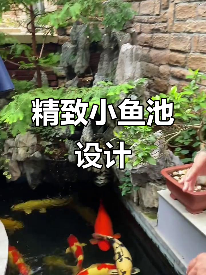 小庭院也能养大锦鲤,四平方鱼池设计全解析