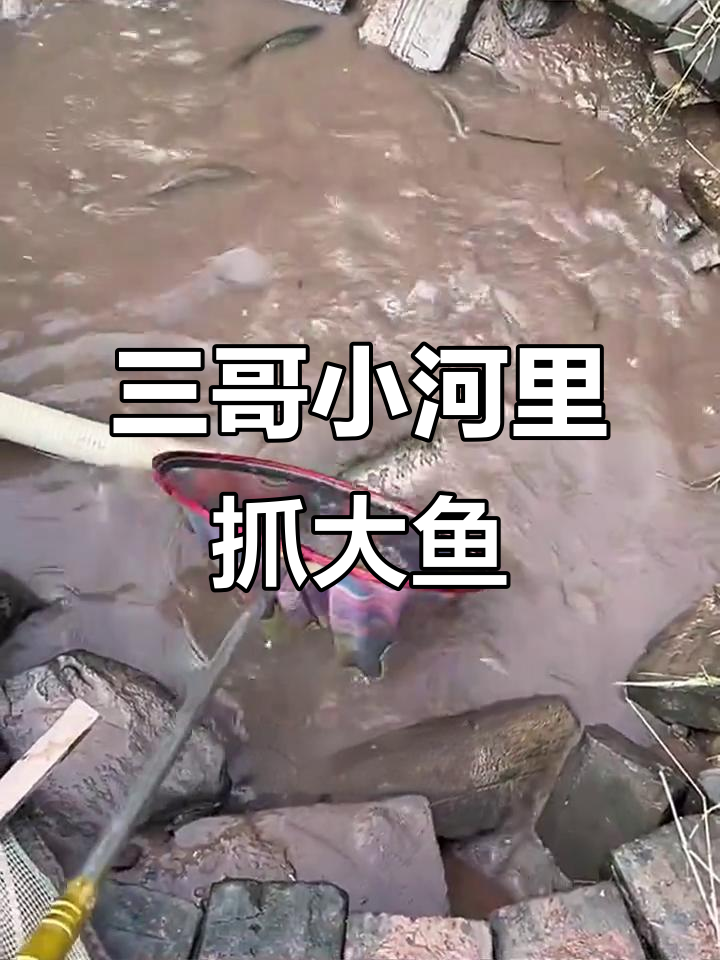 小河里的捕鱼高手,三哥轻松捞获满满一网