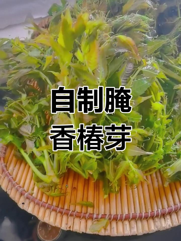 香椿芽的独特腌制方法,花椒水让味道更上一层楼