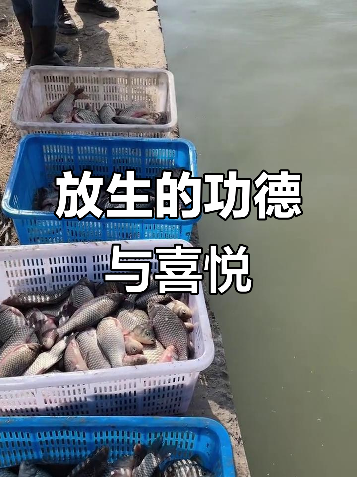 除夕夜放生鱼，感恩满满！