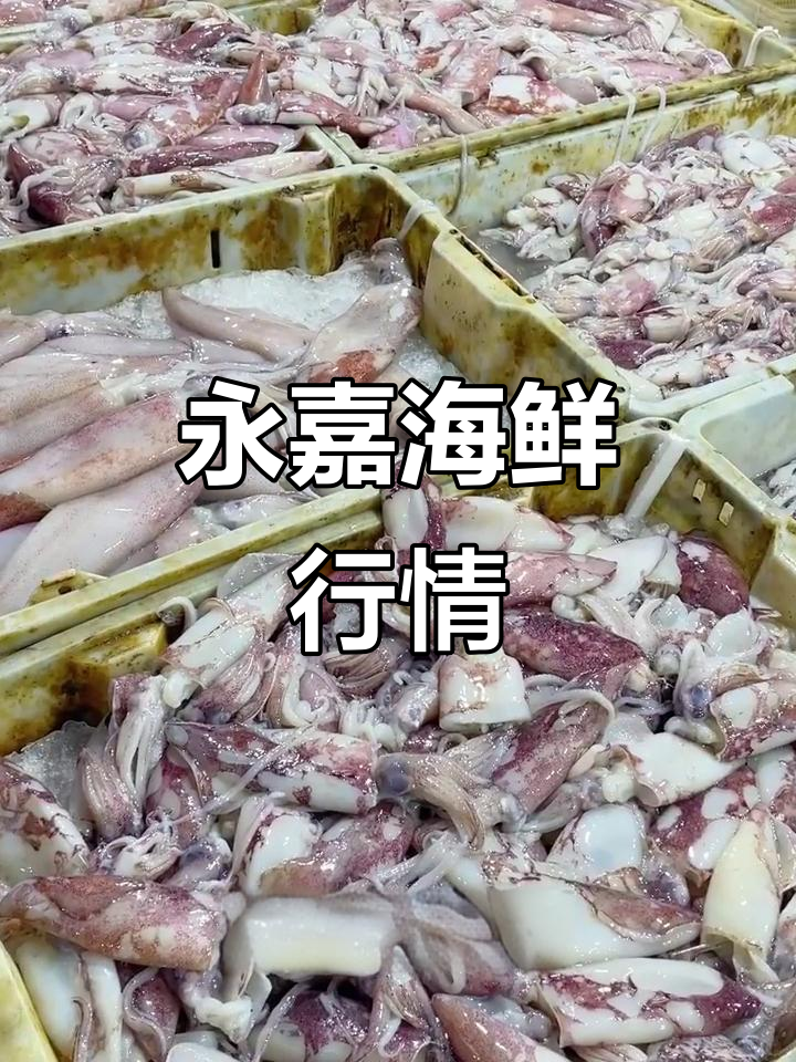 10月14日永嘉市场海鲜价更新,鱿鱼带鱼一应俱全