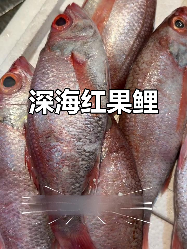 红果鲤深海美味,油脂丰富,鲜美不腥,季节最佳!