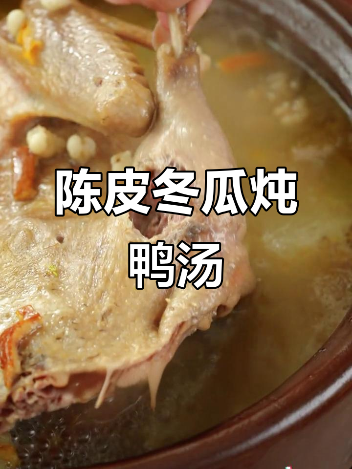 夏日必备!陈皮冬瓜老鸭汤,鲜香四溢,消暑又美味