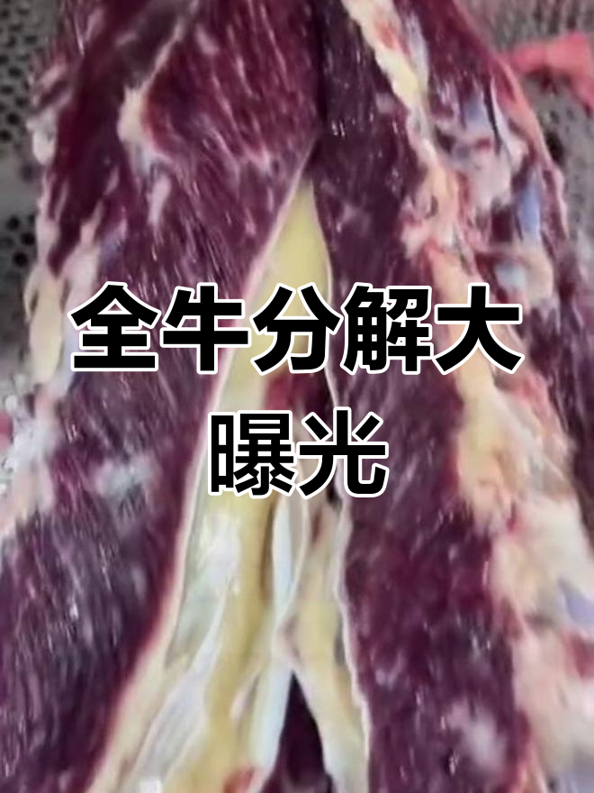 潮汕牛肉火锅全牛分解,雪花、五花肉质鲜美揭秘