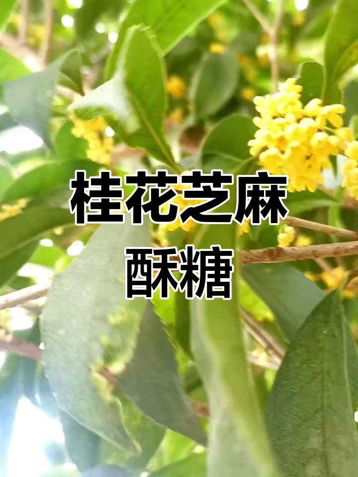 武穴桂花酥糖,家乡的味道