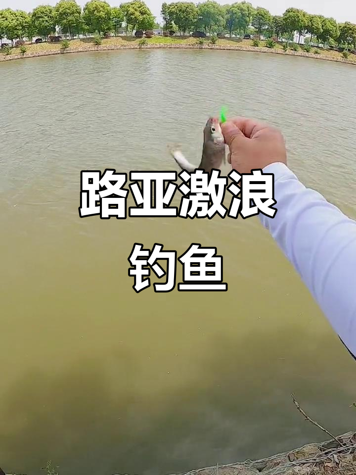 激浪鱼挑战刷新纪录，路亚钓法大揭秘