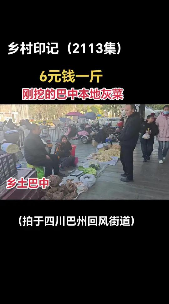 巴中本地刚挖的灰菜,喜欢吗?