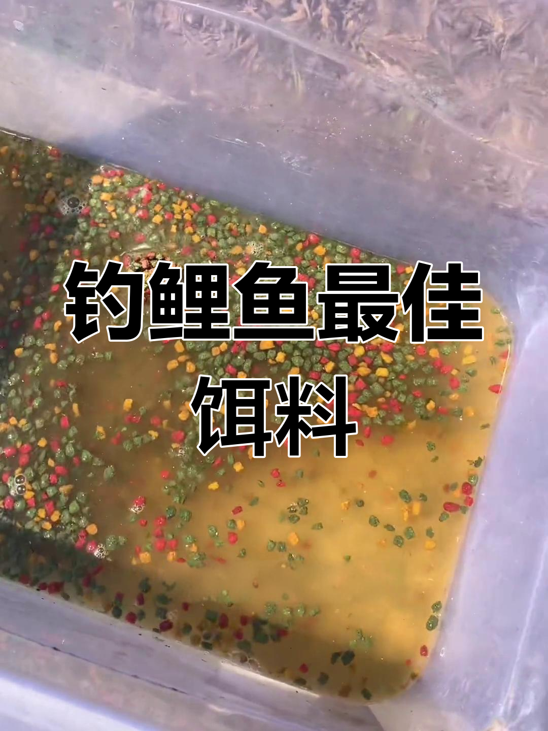 海竿钓鲤鱼饵料配方大公开