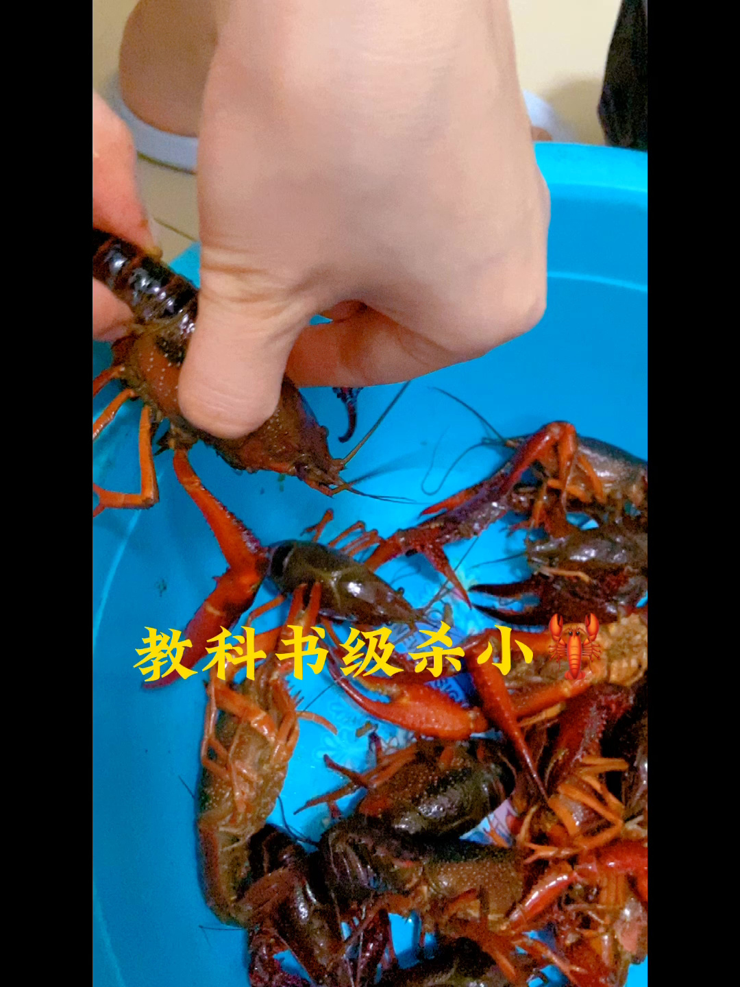 杀小龙虾教学视频