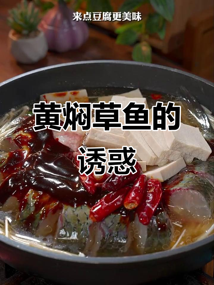 草鱼新做法,黄焖更入味,绝对让你停不下来!