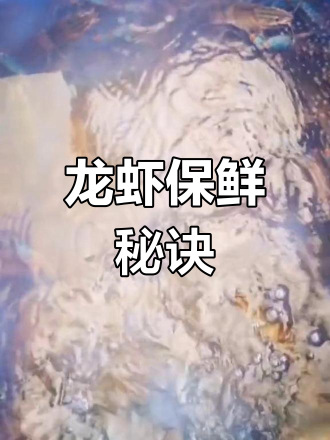 澳洲龙虾三天不死,活力十足,保存方法大揭秘!